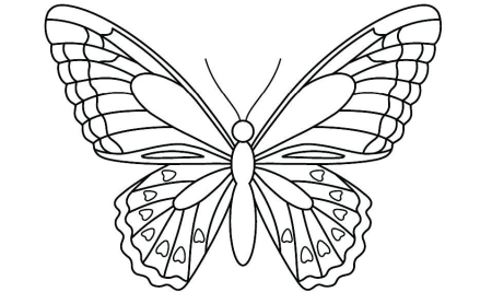 Бабочка трафарет для раскрашивания