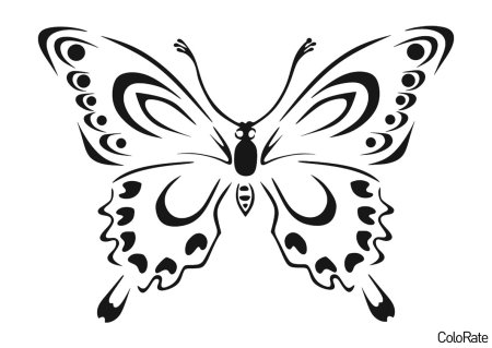 Бабочка раскраска для детей