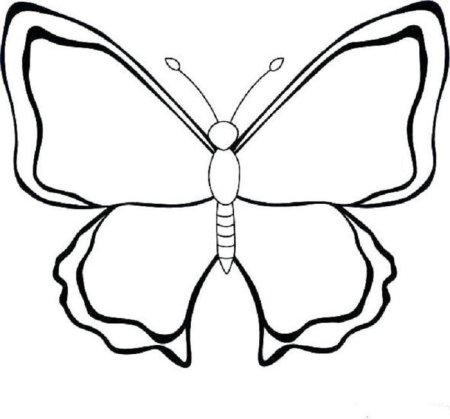 Раскраска бабочка в средней группе