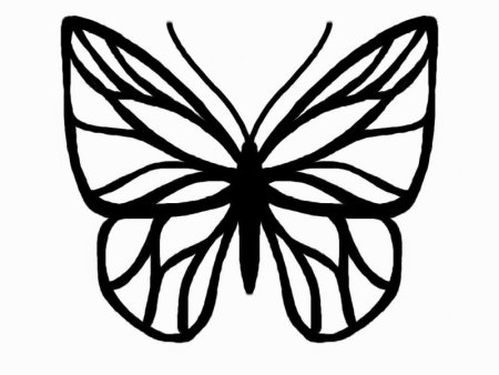 Бабочка контур