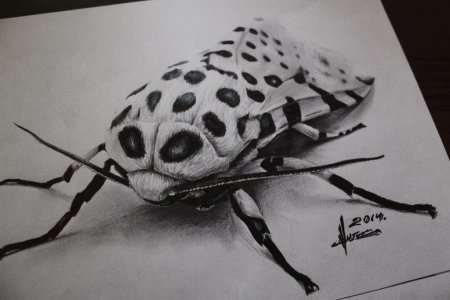 Рисунки карандашом 3д профессиональные