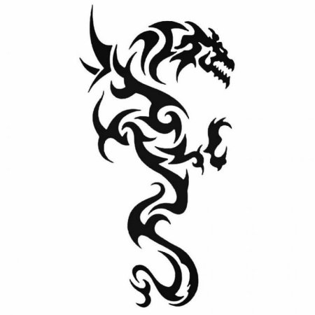 Тату дракона на белом фоне