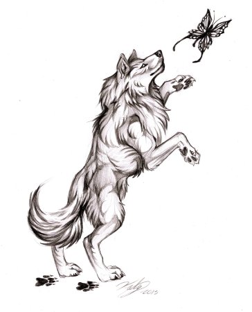 Голова волка