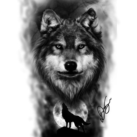 Рисунок волка для срисовки
