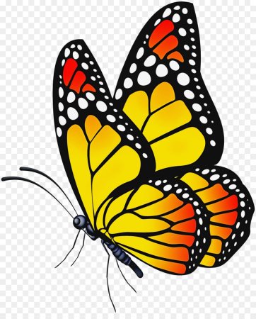 Цветочные орнаменты и узоры