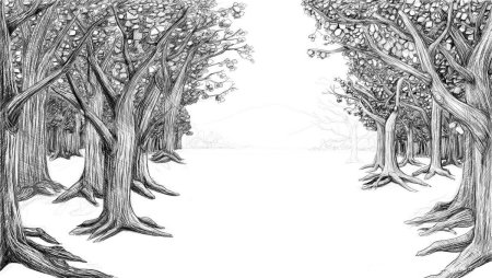 Лес рисунок