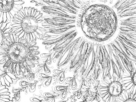 Эйфелева башня Париж для срисовки