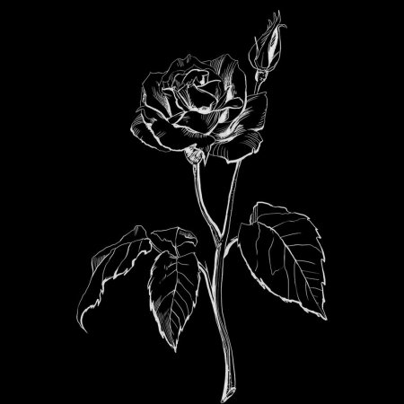 Рисунки на черном фоне