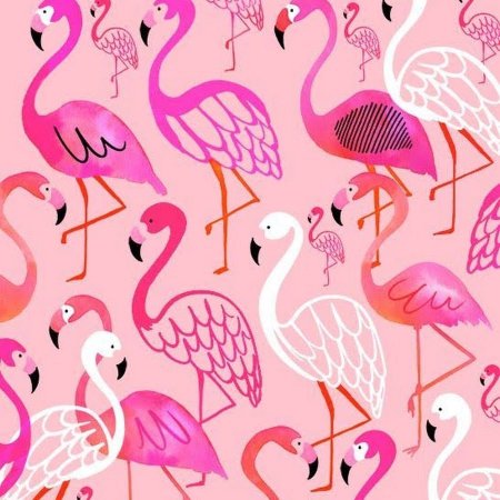 Etro узор Фламинго