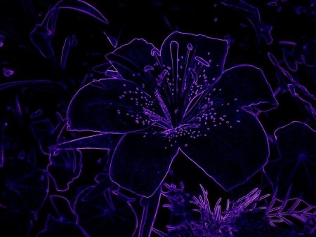 Цветной фон