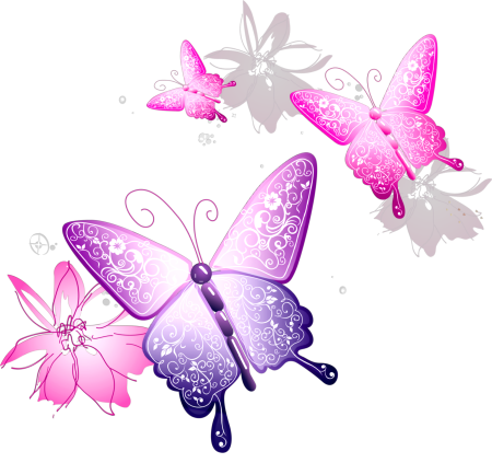 Бабачкина прозрачном фоне