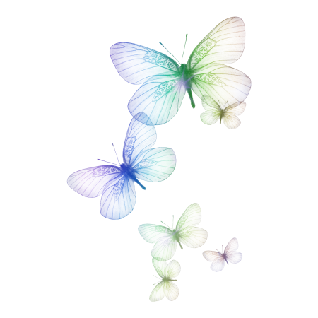 Красивые бабочки на белом фоне