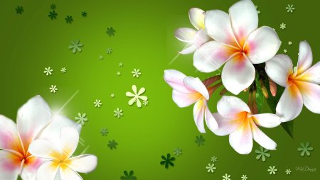 Акварельные цветы фон
