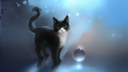 Фон с котиками