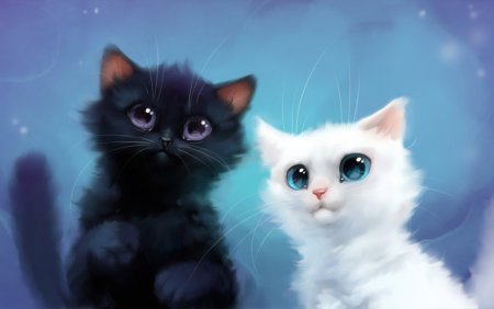 Фон для презентации кошки