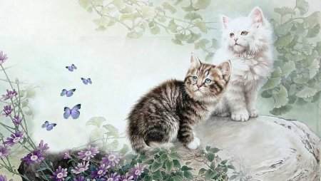 Кот красивый арт