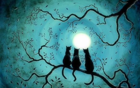 Портрет девушки абстракция