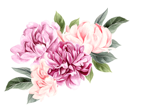 Акварельные пионы Gyu