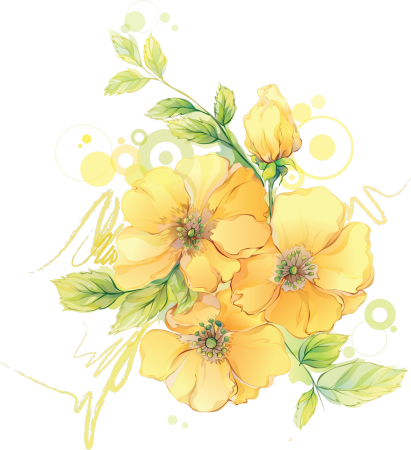 Желтые цветы акварель