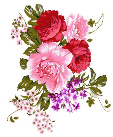 Цветы на белом фоне