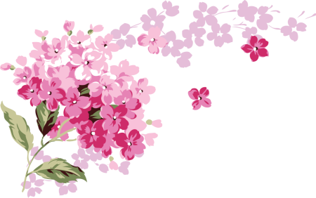 Цветочки на белом фоне