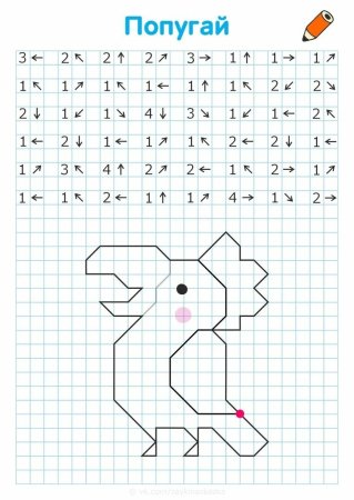 Графический диктант попугай по клеточкам для дошкольников