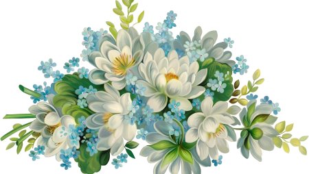 Клипарт цветы на прозрачном фоне