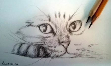 Самые легкие рисунки