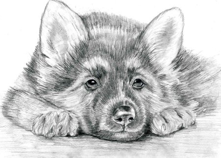 Красивые рисунки карандашом