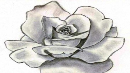 Рисование карандашом для начинающих