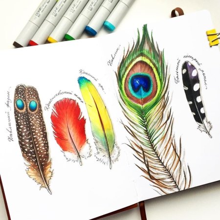 Рисунки красками