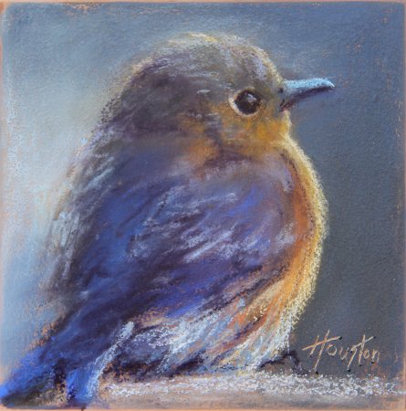 Птицы масляной пастелью