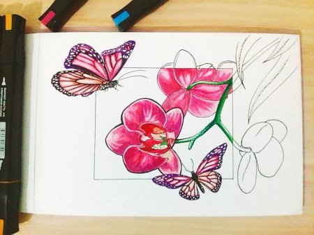 Рисунки цветные легкие