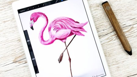 Портрет в Procreate