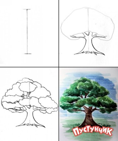 Этапы рисования дерева