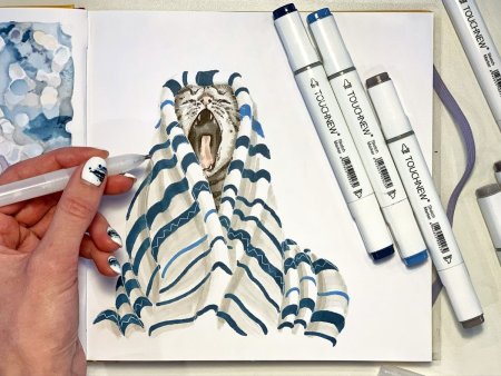 Рисунки спиртовыми маркерами