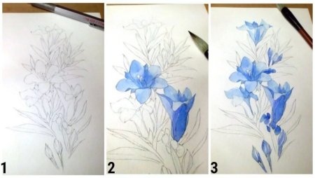 Рисунки акварелью