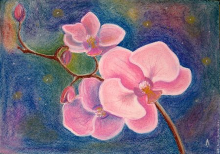 Рисунки пастелью