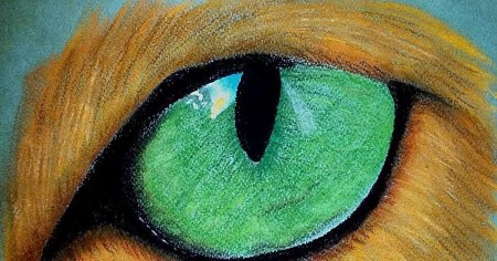 Рисование сухой пастелью для начинающих