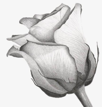 Пейзаж в графике легкий