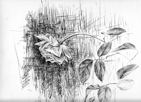 Эскизы тату цветы