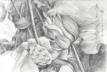 Рисунки гелевой ручкой цветы