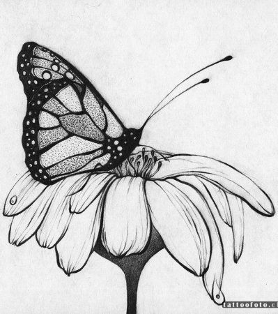 Иллюстрации от Алекса Конахина.