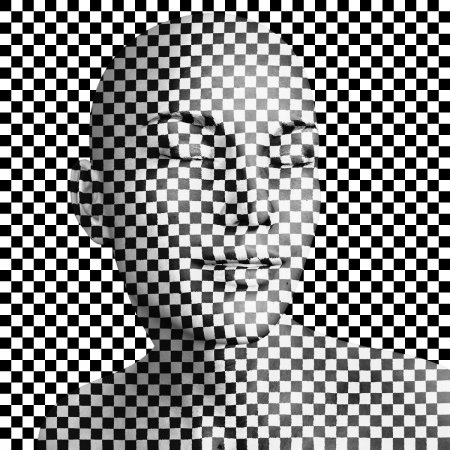 Иллюзии в клетку