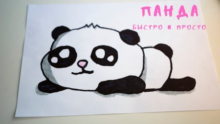 Как нарисовать панду легко и красиво