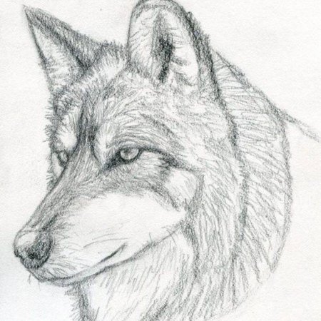 Рисунки карандашом