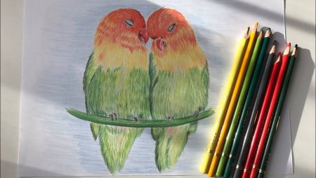 Красивые рисунки цветными карандашами