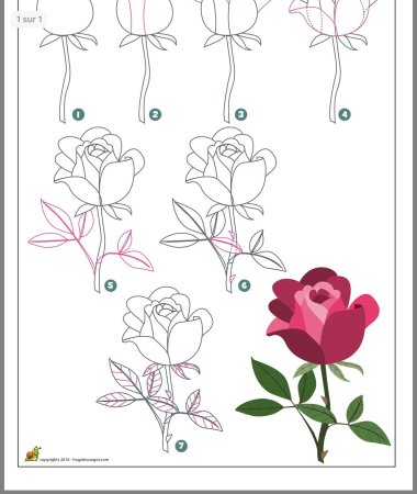 Рисование цветов поэтапно