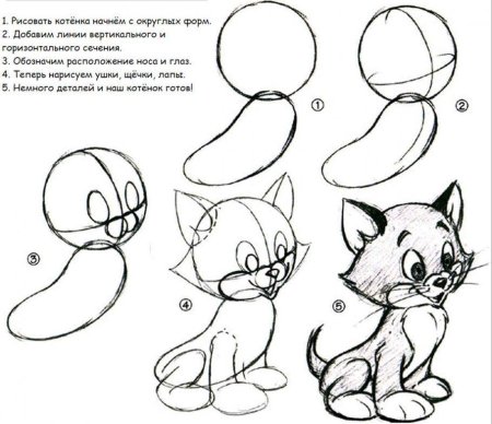 Поэтапное рисование кота для детей
