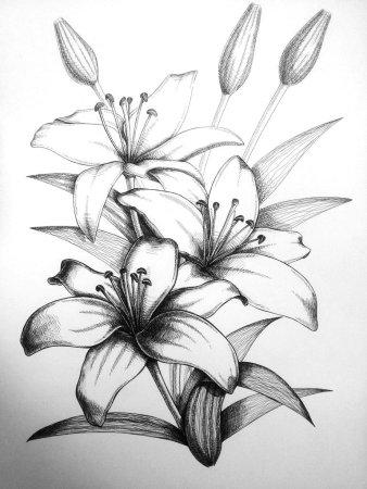 Поэтапное рисование цветы